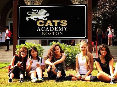 A Journey into the Magical World of Cat Academy